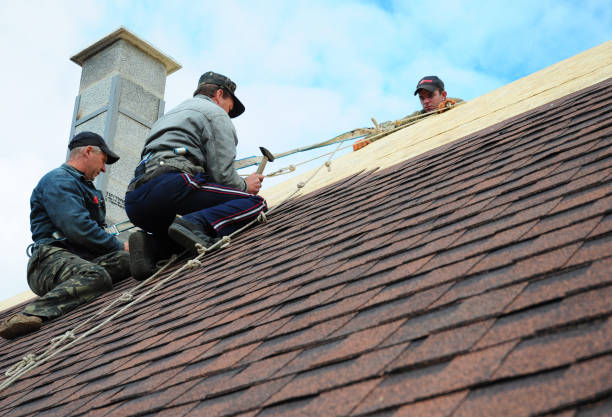 Best Gutter Installation and Roofing  in Essex Village, CT